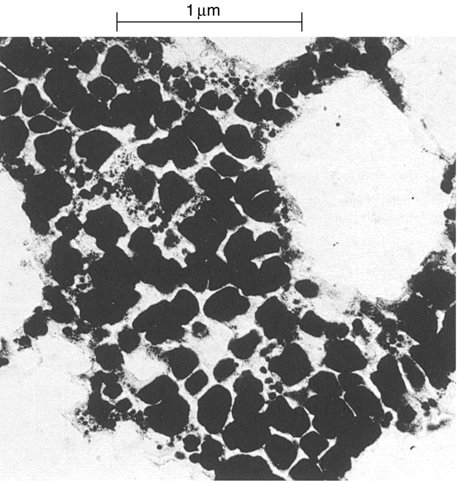 f24-03b-9780081020517